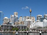 sydney-tower-from-darling-harbour.jpg